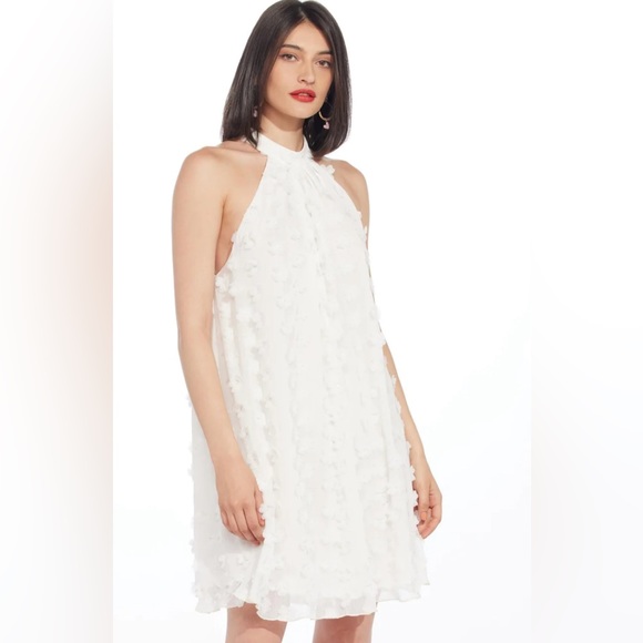 Eva Franco Dresses & Skirts - Eva Franco Halter Swing Mini Dress In White Petal 3D Floral Appliqué